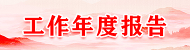 工作年度报告