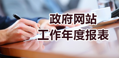 政府网站工作年度报表