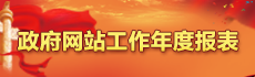 政府网站工作年度报表