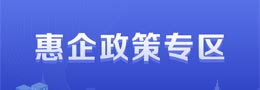 惠企政策专区